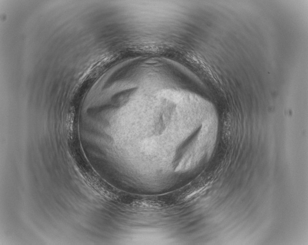 X0000087380739200705111735