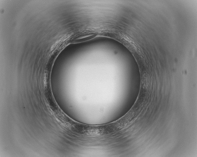 X0000087380740200705111735