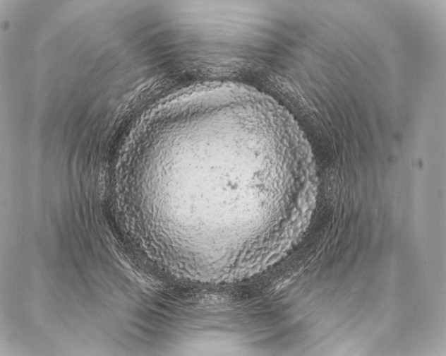 X0000087380741200705111735