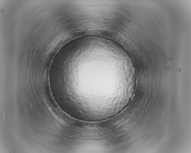 X0000087380742200705111735