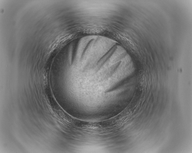 X0000087380743200705111735