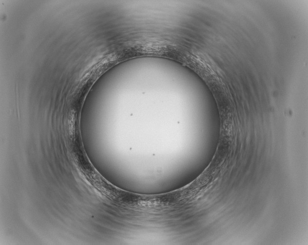 X0000087380744200705111735