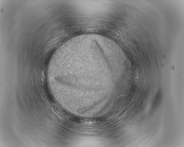 X0000087380746200705111735