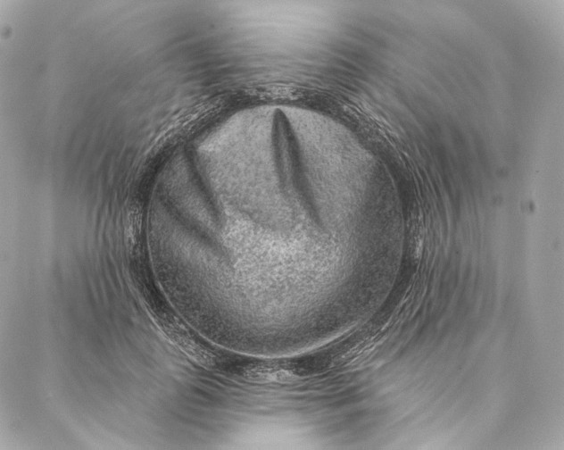 X0000087380747200705111735