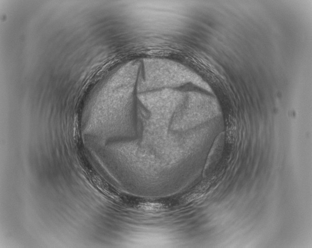 X0000087380748200705111735