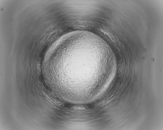 X0000087380749200705111735