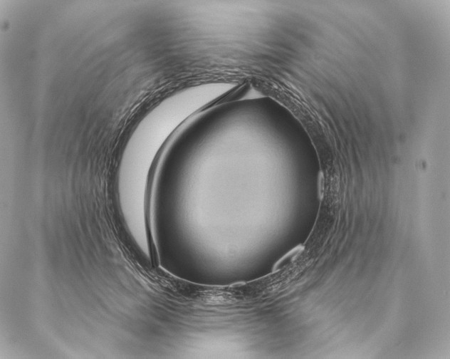 X0000087380750200705111735