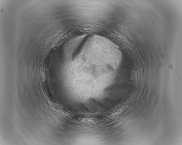 X0000087380751200705111735