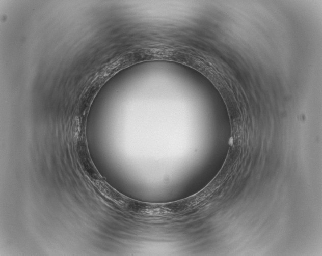 X0000087380752200705111735