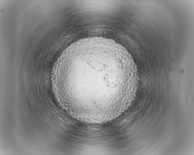 X0000087380753200705111735