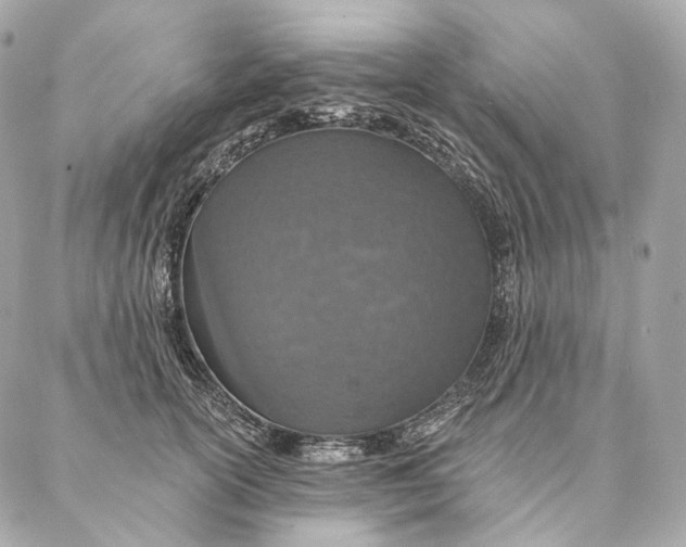 X0000087380754200705111735