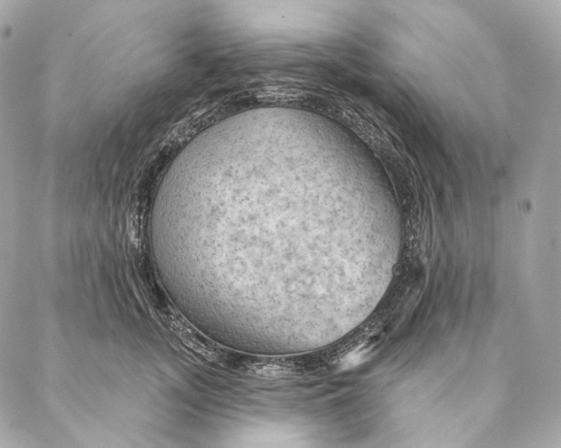 X0000087380755200705111735