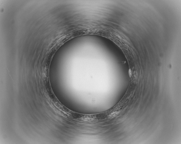 X0000087380756200705111735