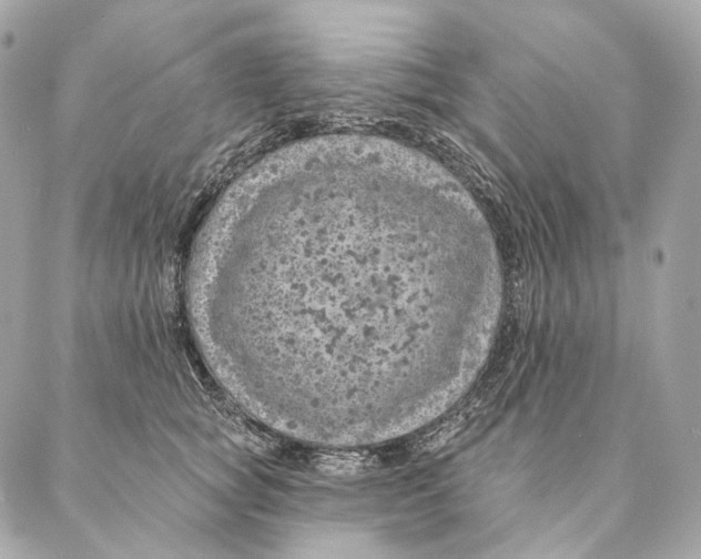 X0000087380757200705111735