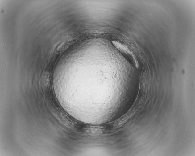 X0000087380758200705111735