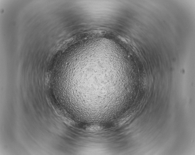 X0000087380759200705111735