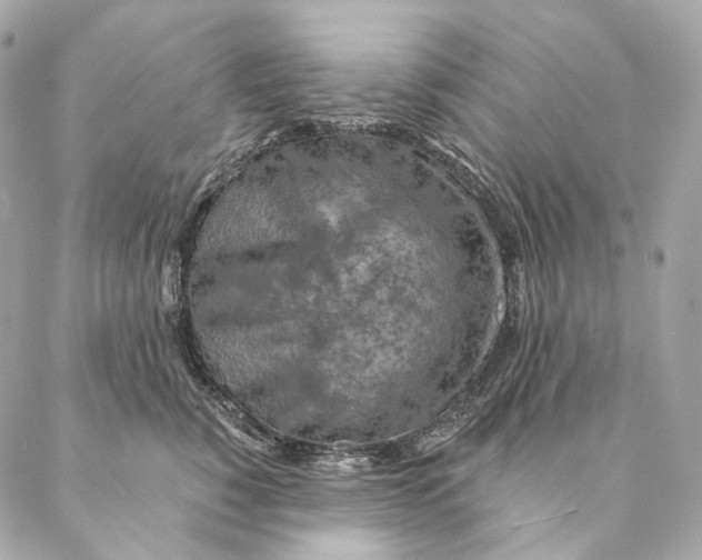 X0000087380760200705111735