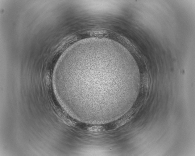 X0000087380761200705111735