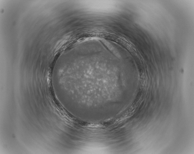 X0000087380762200705111735