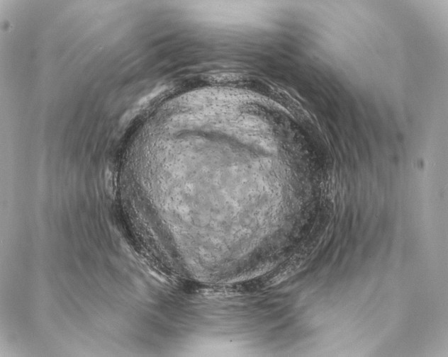 X0000087380763200705111735