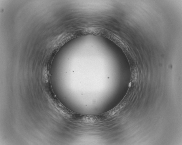 X0000087380764200705111735