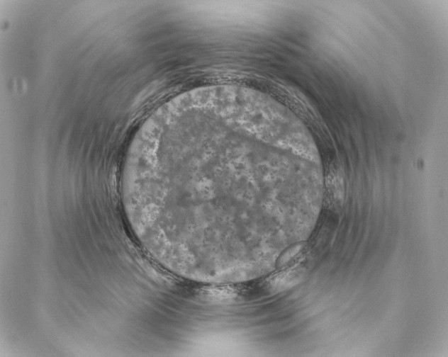 X0000087380765200705111735