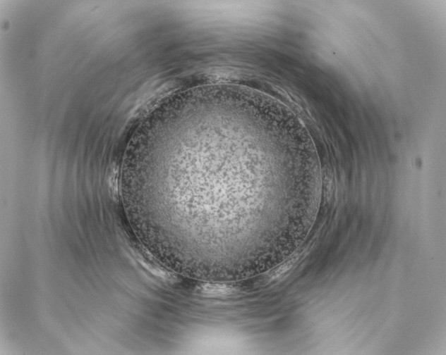 X0000087380766200705111735