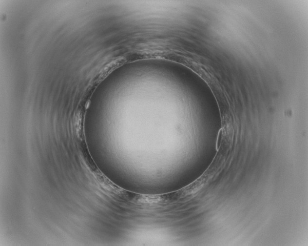 X0000087380767200705111735