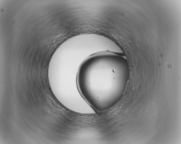 X0000087380768200705111735