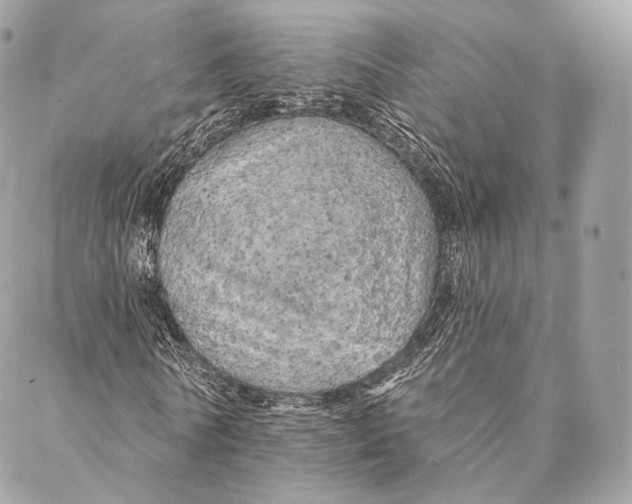 X0000087380770200705111735