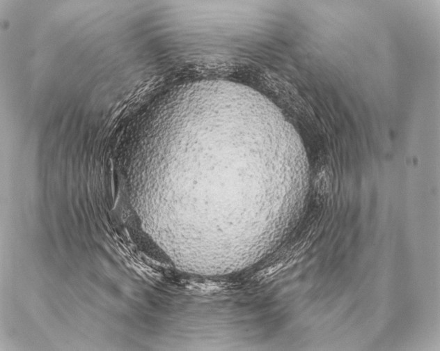 X0000087380772200705111734