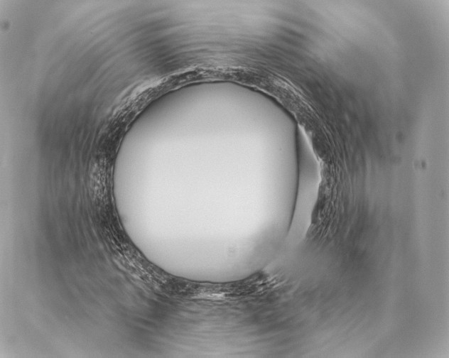 X0000087380773200705111734