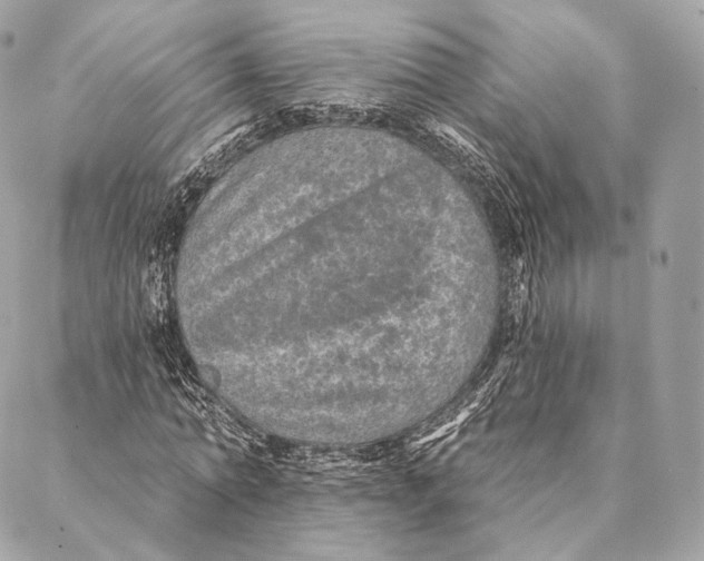 X0000087380774200705111734