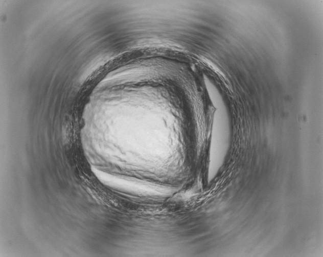 X0000087380775200705111734