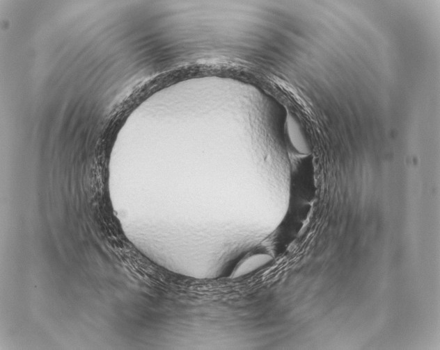 X0000087380776200705111734