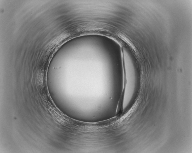 X0000087380777200705111734