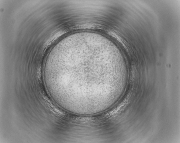 X0000087380778200705111734