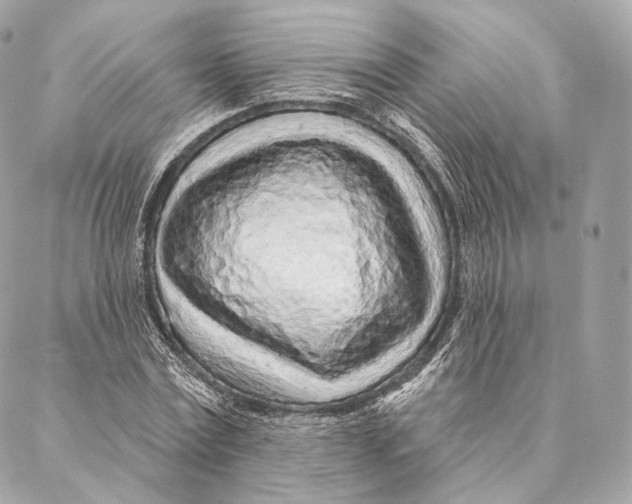 X0000087380779200705111734