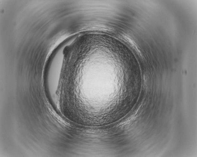 X0000087380780200705111734