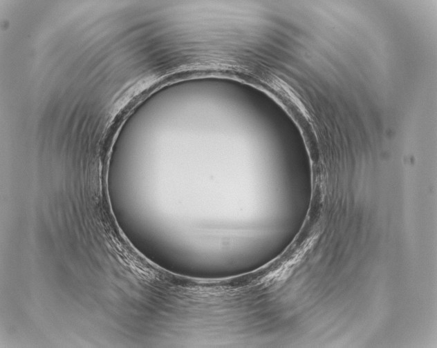 X0000087380781200705111734