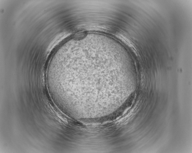 X0000087380782200705111734