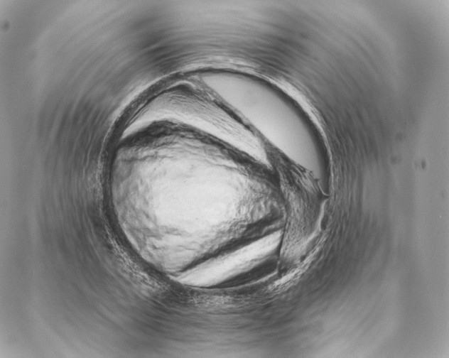 X0000087380783200705111734