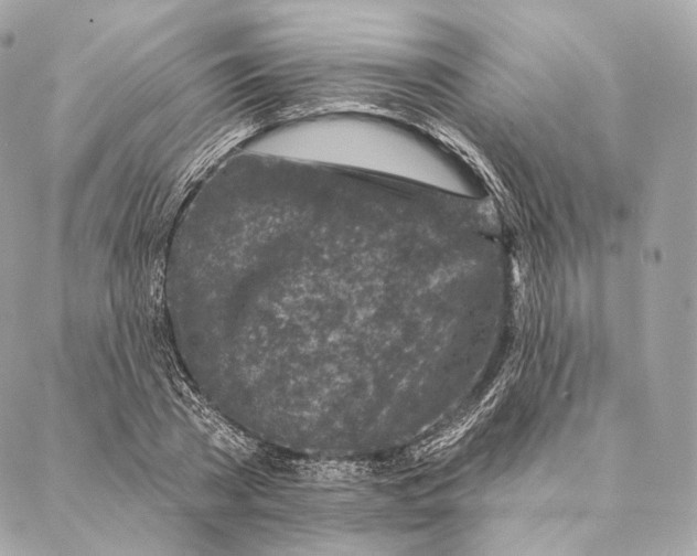 X0000087380785200705111734