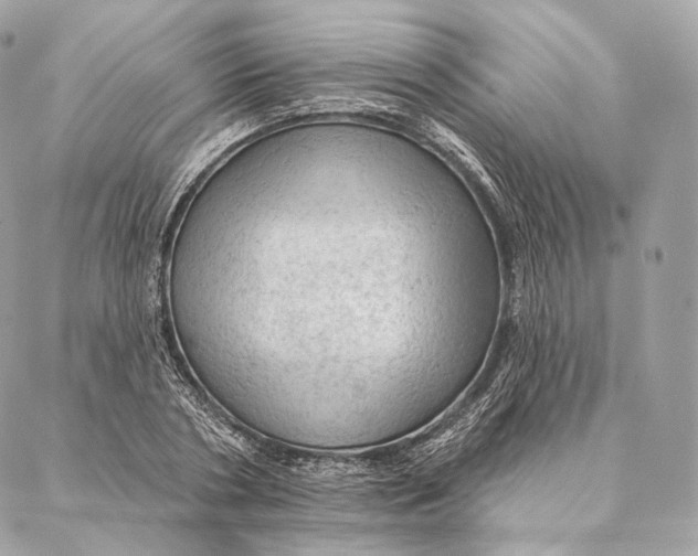 X0000087380786200705111734