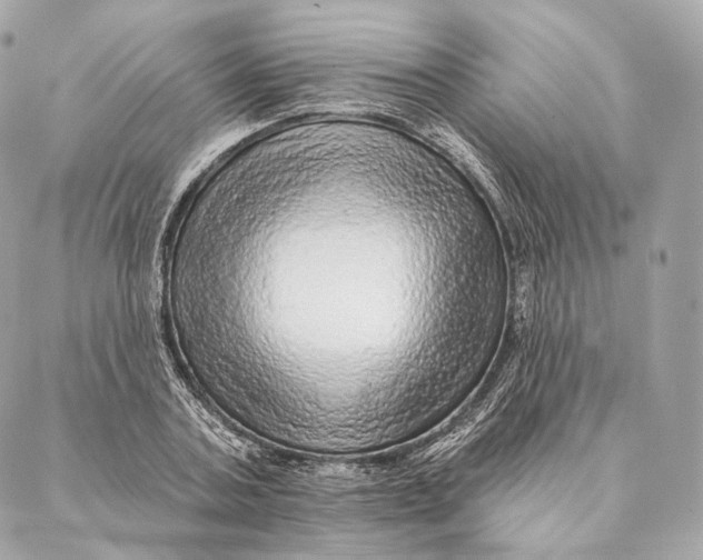 X0000087380787200705111734