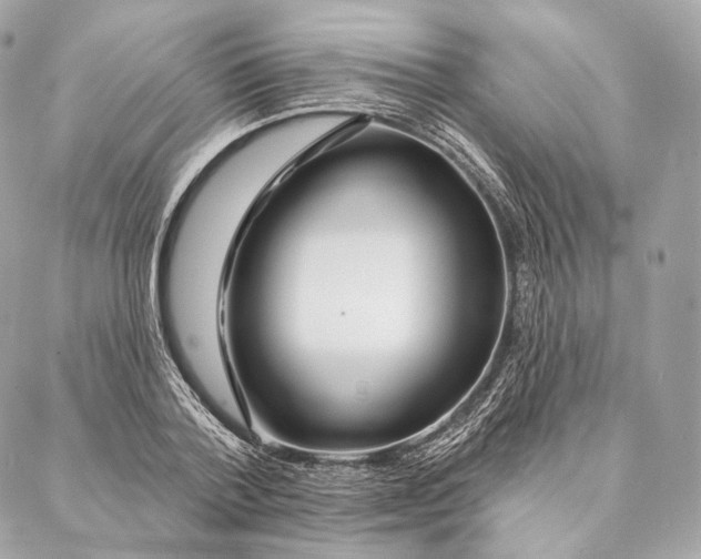 X0000087380788200705111734