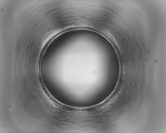 X0000087380789200705111734