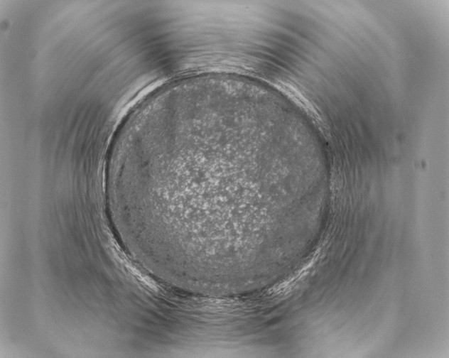 X0000087380790200705111734