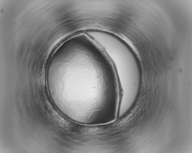 X0000087380791200705111734