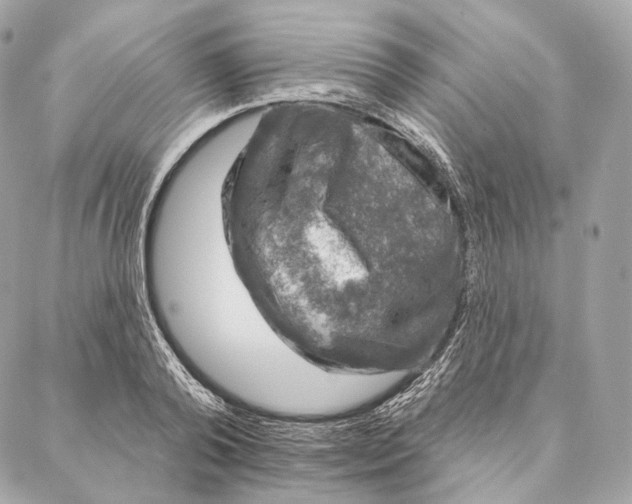 X0000087380792200705111734